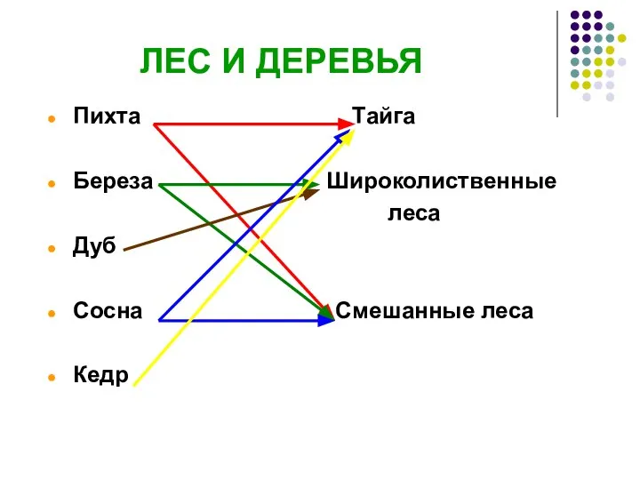 ЛЕС И ДЕРЕВЬЯ Пихта Тайга Береза Широколиственные леса Дуб Сосна Смешанные леса Кедр