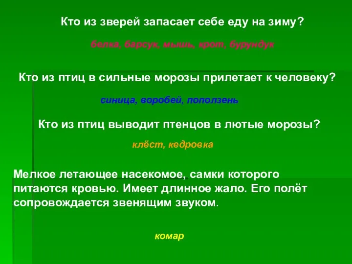 Кто из зверей запасает себе еду на зиму? Кто из птиц