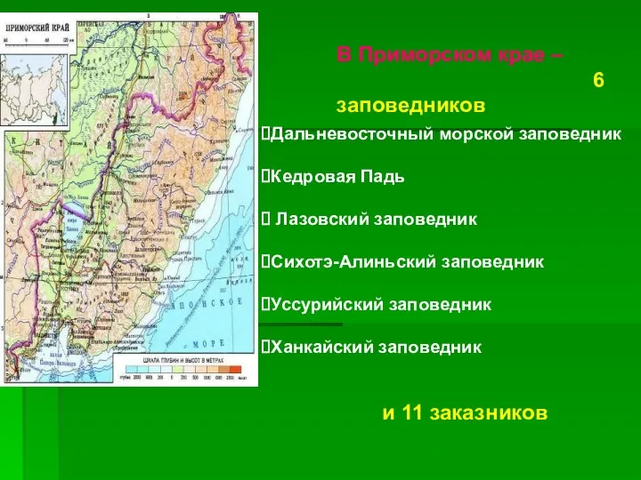 В Приморском крае – 6 заповедников Дальневосточный морской заповедник Кедровая Падь