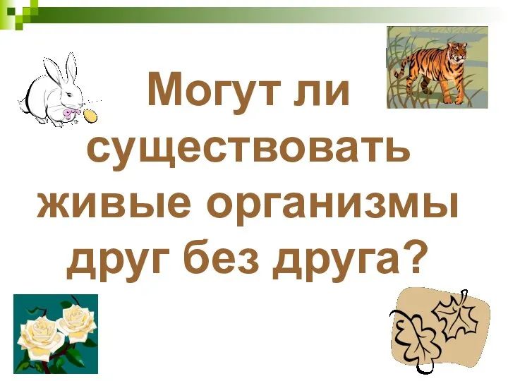 Могут ли существовать живые организмы друг без друга?