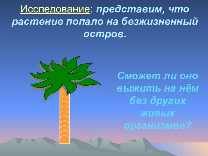 Исследование: представим, что растение попало на безжизненный остров. Сможет ли оно