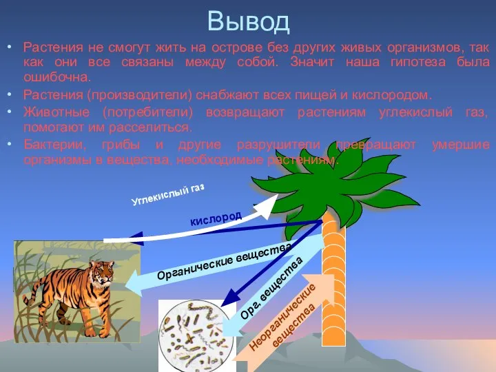 Вывод Растения не смогут жить на острове без других живых организмов,