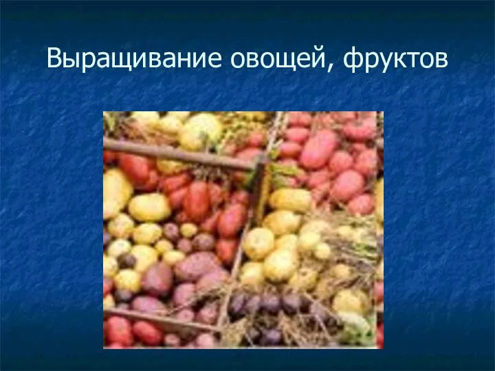 Выращивание овощей, фруктов