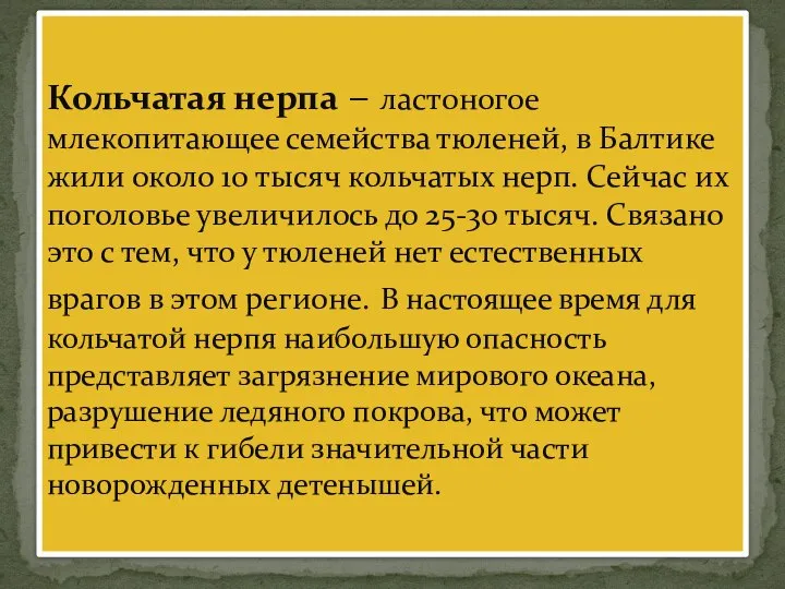 Кольчатая нерпа – ластоногое млекопитающее семейства тюленей, в Балтике жили около