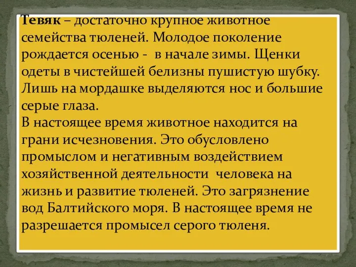 Тевяк – достаточно крупное животное семейства тюленей. Молодое поколение рождается осенью