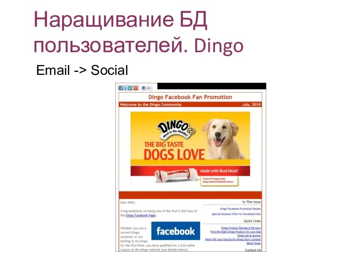 Наращивание БД пользователей. Dingo Email -> Social