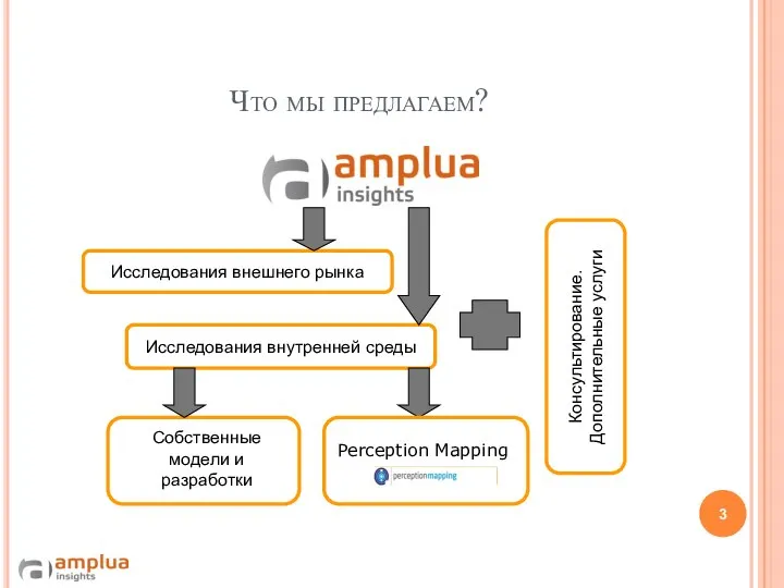 Что мы предлагаем? Консультирование. Дополнительные услуги Исследования внутренней среды Исследования внешнего