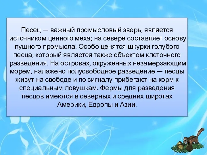 Песец — важный промысловый зверь, является источником ценного меха; на севере