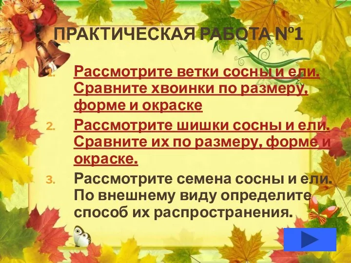 Практическая работа №1 Рассмотрите ветки сосны и ели. Сравните хвоинки по