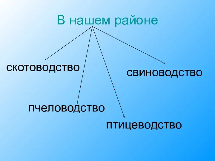 В нашем районе птицеводство скотоводство свиноводство пчеловодство