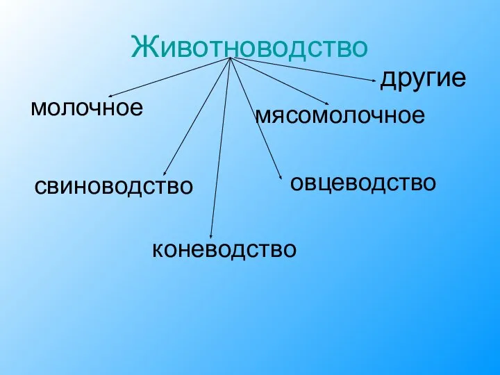 Животноводство молочное мясомолочное овцеводство свиноводство коневодство другие