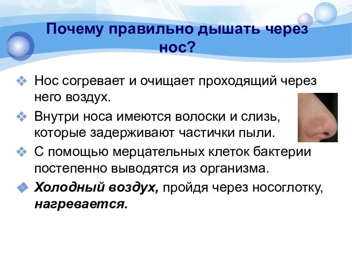 Почему правильно дышать через нос? Нос согревает и очищает проходящий через