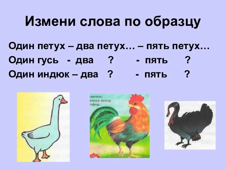 Измени слова по образцу Один петух – два петух… – пять