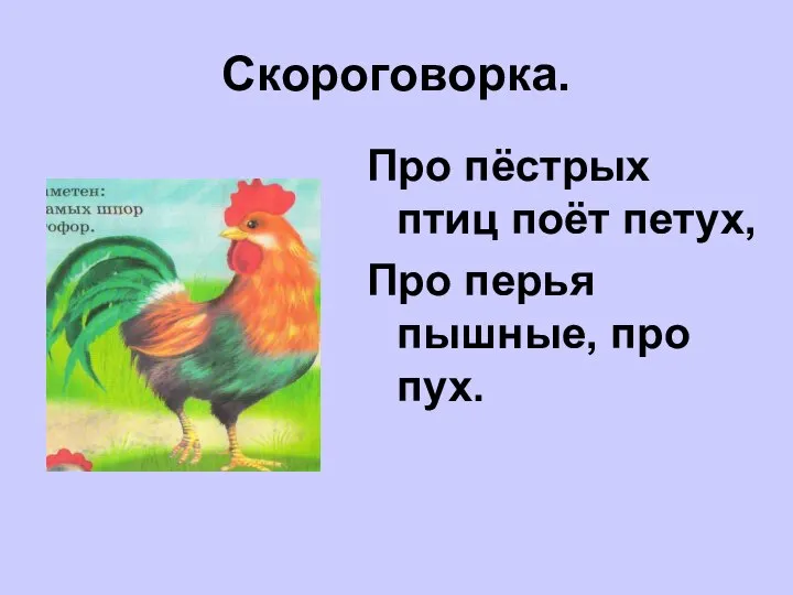 Скороговорка. Про пёстрых птиц поёт петух, Про перья пышные, про пух.