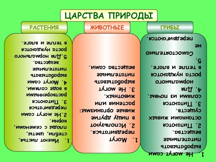 ЦАРСТВА ПРИРОДЫ РАСТЕНИЯ ЖИВОТНЫЕ ГРИБЫ Имеют листья, стебли, цветы, плоды с