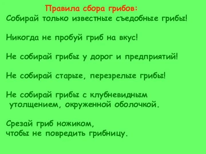 Правила сбора грибов: Собирай только известные съедобные грибы! Никогда не пробуй