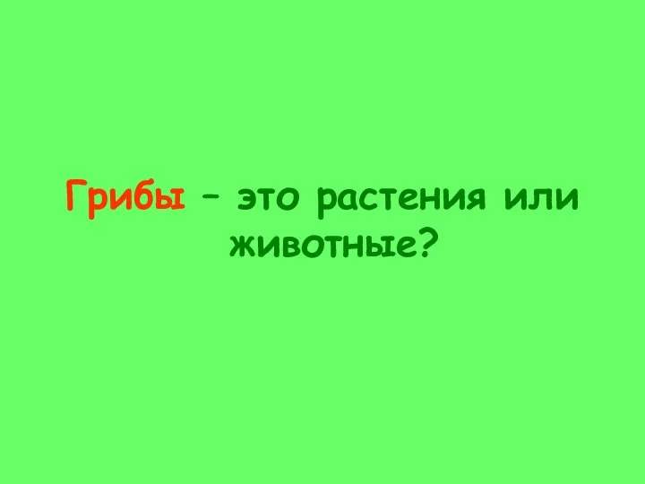 Грибы – это растения или животные?