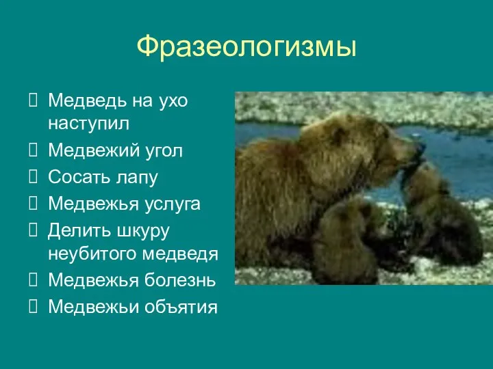 Фразеологизмы Медведь на ухо наступил Медвежий угол Сосать лапу Медвежья услуга