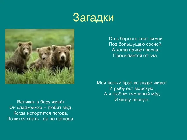 Загадки Великан в бору живёт Он сладкоежка – любит мёд. Когда