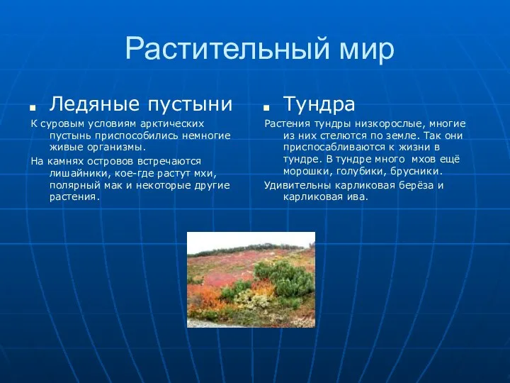 Растительный мир Ледяные пустыни К суровым условиям арктических пустынь приспособились немногие