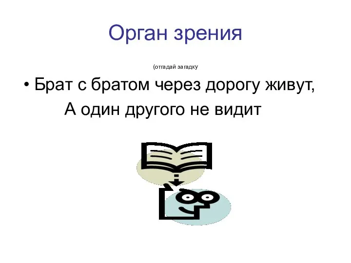 Орган зрения (отгадай загадку Брат с братом через дорогу живут, А один другого не видит