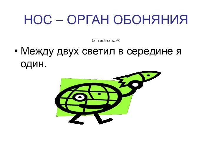 НОС – ОРГАН ОБОНЯНИЯ (отгадай загадку) Между двух светил в середине я один.