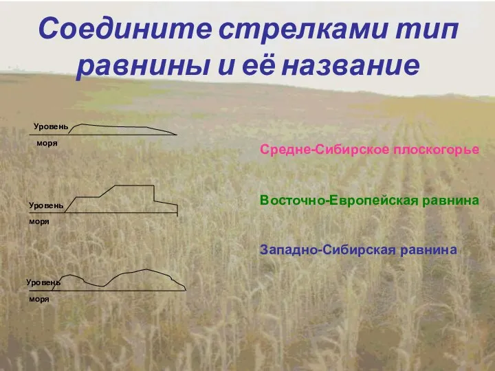 Соедините стрелками тип равнины и её название Восточно-Европейская равнина Западно-Сибирская равнина