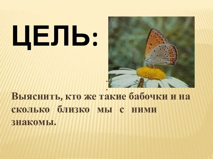 .. .. Цель: Выяснить, кто же такие бабочки и на сколько близко мы с ними знакомы.