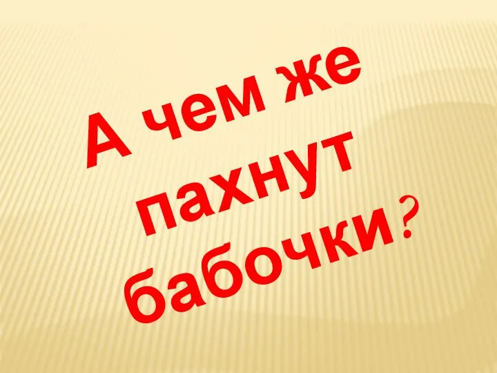 А чем же пахнут бабочки?