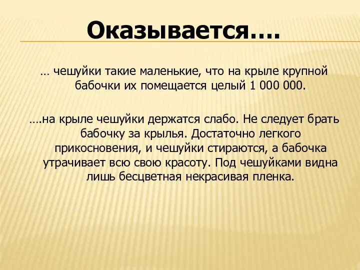 Оказывается…. … чешуйки такие маленькие, что на крыле крупной бабочки их