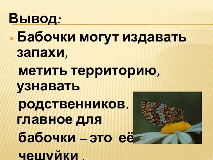 Вывод: Бабочки могут издавать запахи, метить территорию, узнавать родственников. А главное