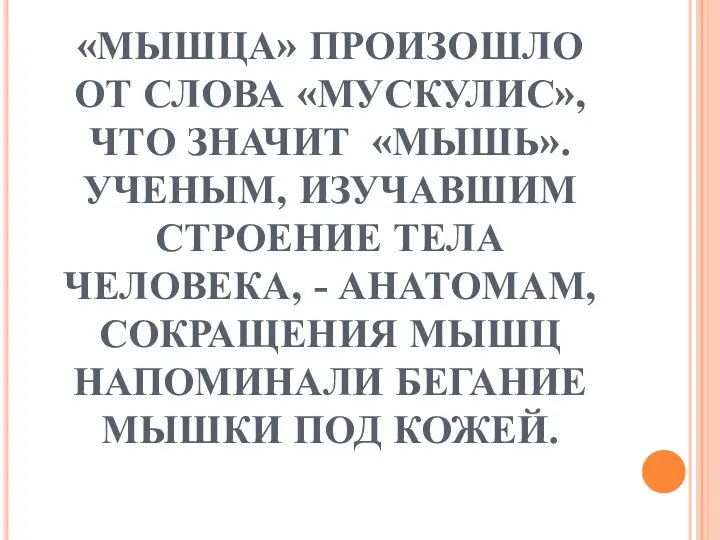 «МЫШЦА» ПРОИЗОШЛО ОТ СЛОВА «МУСКУЛИС», ЧТО ЗНАЧИТ «МЫШЬ». УЧЕНЫМ, ИЗУЧАВШИМ СТРОЕНИЕ