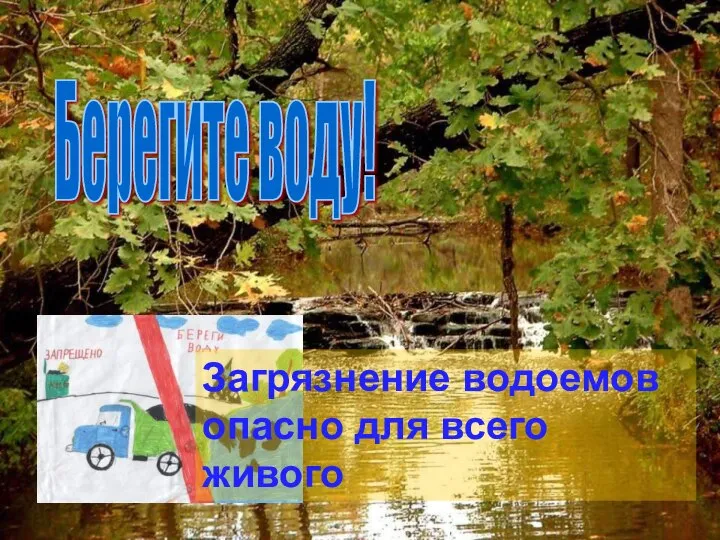 Берегите воду! Загрязнение водоемов опасно для всего живого