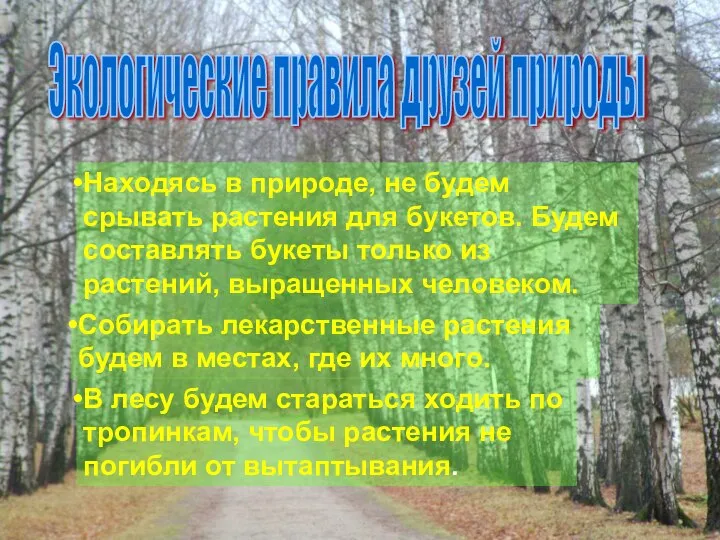 Экологические правила друзей природы Находясь в природе, не будем срывать растения