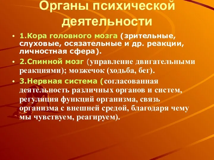 Органы психической деятельности 1.Кора головного мозга (зрительные, слуховые, осязательные и др.