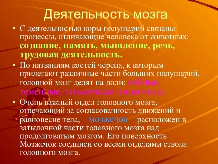 Деятельность мозга С деятельностью коры полушарий связаны процессы, отличающие человека от