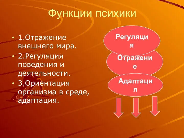 Функции психики 1.Отражение внешнего мира. 2.Регуляция поведения и деятельности. 3.Ориентация организма