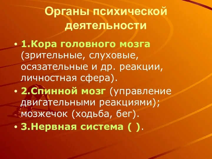 Органы психической деятельности 1.Кора головного мозга (зрительные, слуховые, осязательные и др.