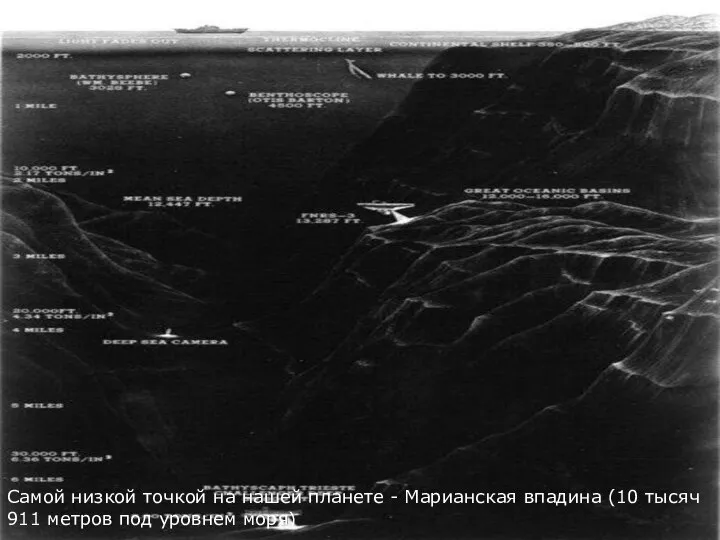 Самой низкой точкой на нашей планете - Марианская впадина (10 тысяч 911 метров под уровнем моря)