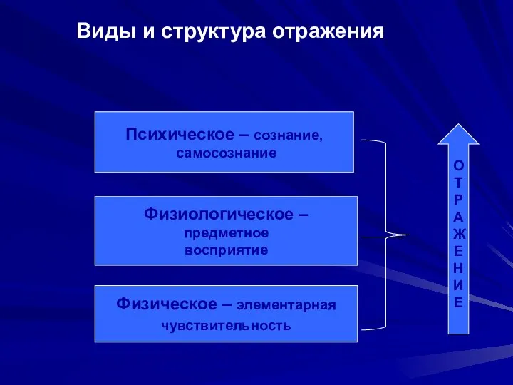 Виды и структура отражения О Т Р А Ж Е Н