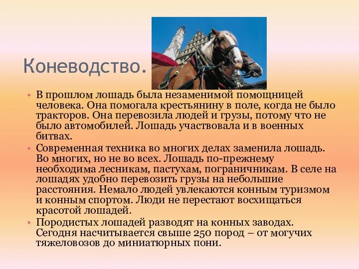 Коневодство. В прошлом лошадь была незаменимой помощницей человека. Она помогала крестьянину