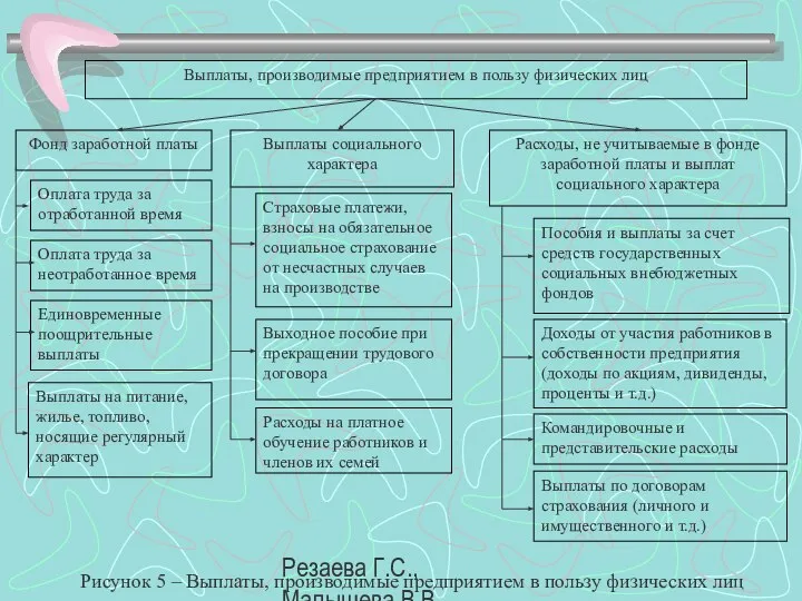 Резаева Г.С., Малышева В.В. Выплаты, производимые предприятием в пользу физических лиц