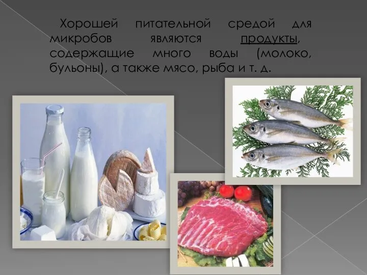 Хорошей питательной средой для микробов являются продукты, содержащие много воды (молоко,