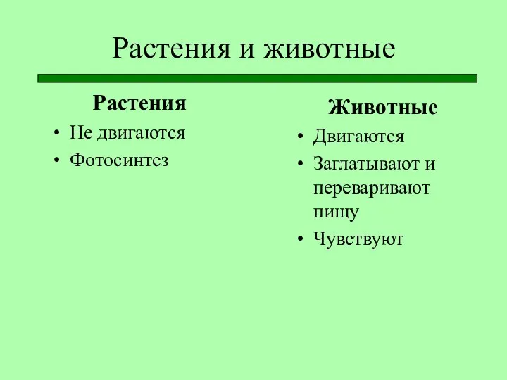 Растения и животные Растения Не двигаются Фотосинтез Животные Двигаются Заглатывают и переваривают пищу Чувствуют