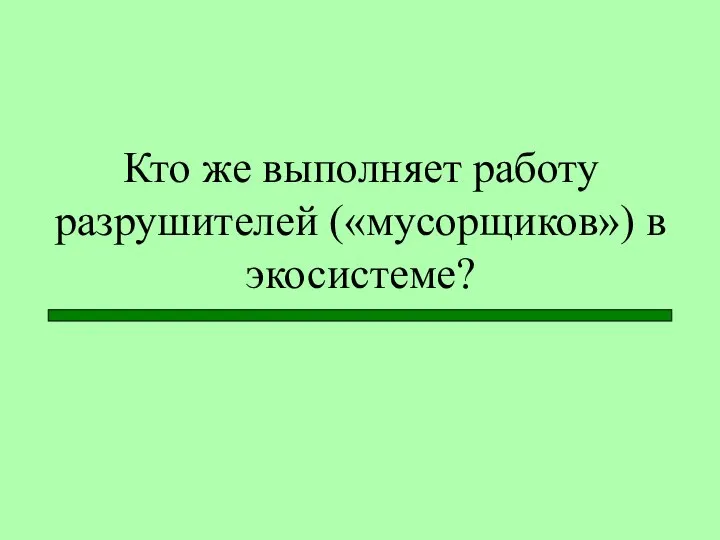 Кто же выполняет работу разрушителей («мусорщиков») в экосистеме?