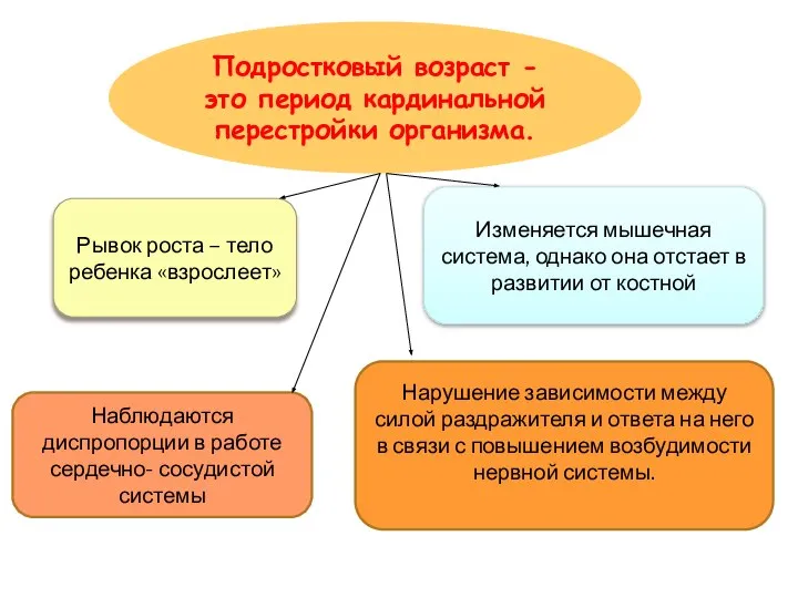 Подростковый возраст - это период кардинальной перестройки организма. Рывок роста –