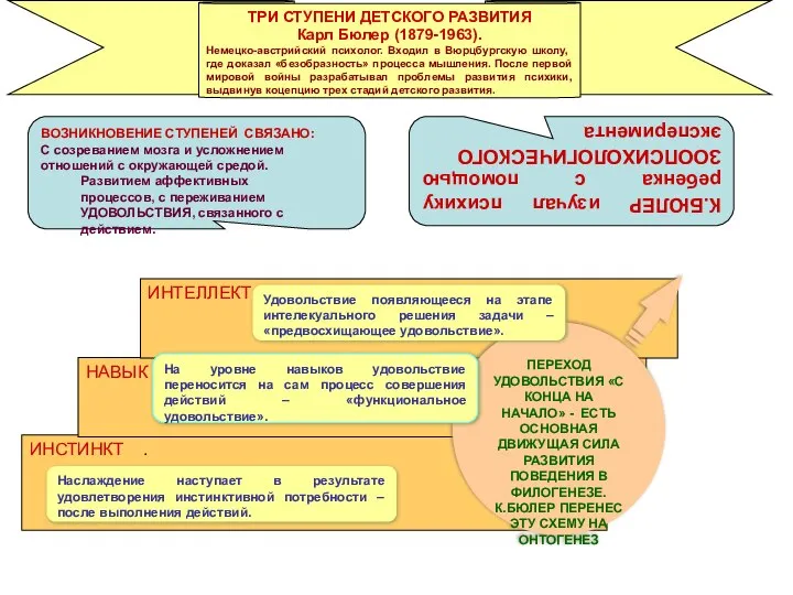 ТРИ СТУПЕНИ ДЕТСКОГО РАЗВИТИЯ Карл Бюлер (1879-1963). Немецко-австрийский психолог. Входил в