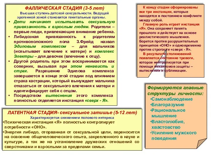 ФАЛЛИЧЕСКАЯ СТАДИЯ (3-5 лет) Высшая ступень детской сексуальности. Ведущей эрогенной зоной