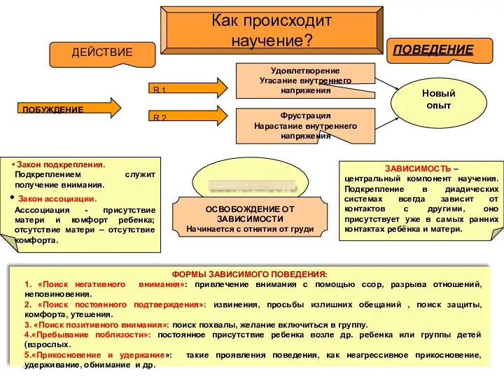 ДЕЙСТВИЕ ПОБУЖДЕНИЕ R 1 R 2 Удовлетворение Угасание внутреннего напряжения Фрустрация