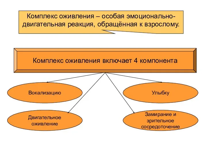 Комплекс оживления – особая эмоционально-двигательная реакция, обращённая к взрослому. Комплекс оживления